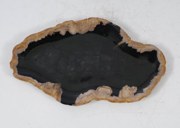 Plate petrified wood 56035