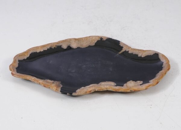 Plate petrified wood 56035