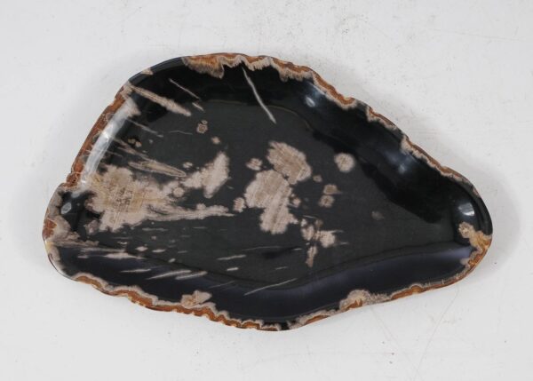 Plate petrified wood 56038