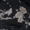 Plate petrified wood 56038