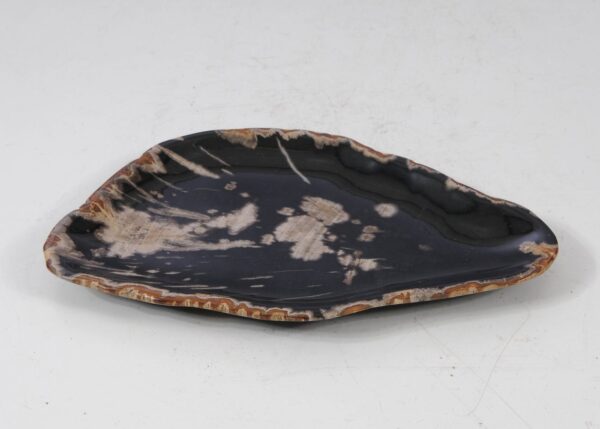 Plate petrified wood 56038