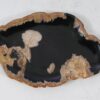 Plate petrified wood 56039