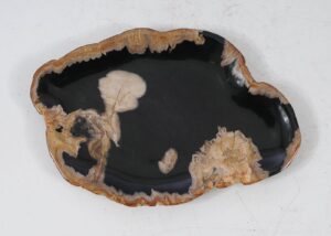 Plate petrified wood 56039