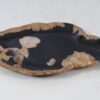 Plate petrified wood 56039