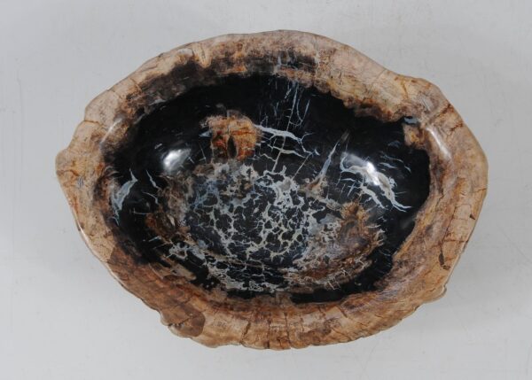 Bowl petrified wood 56275