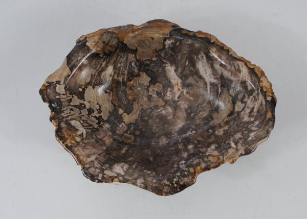 Bowl petrified wood 56287