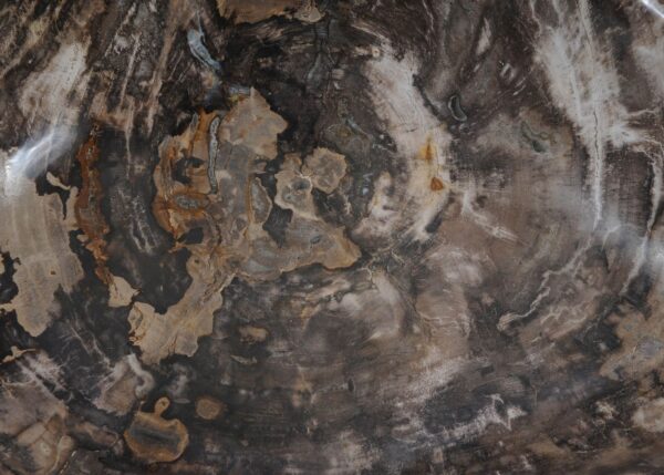 Bowl petrified wood 56287