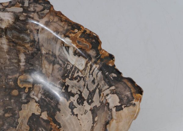 Bowl petrified wood 56287