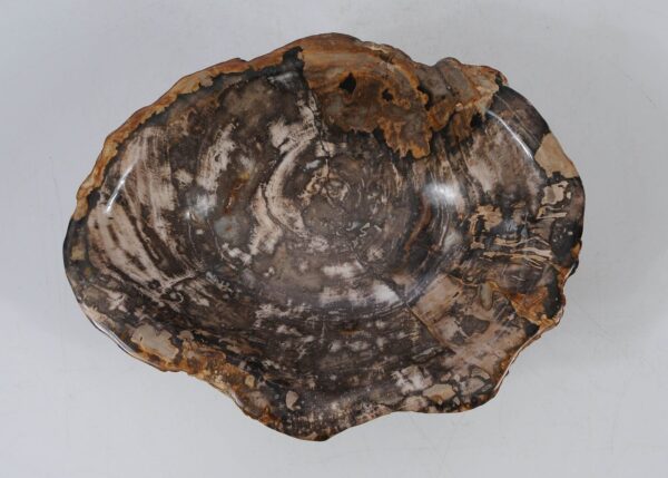 Bowl petrified wood 56288