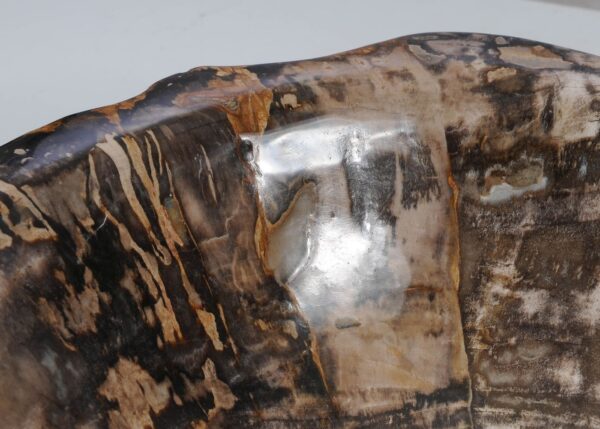 Bowl petrified wood 56288