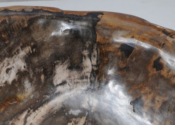 Bowl petrified wood 56288