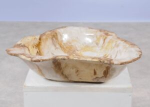 Bowl petrified wood 57002