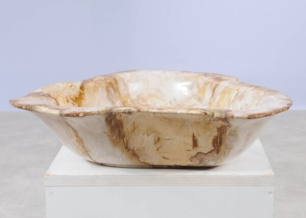 Bowl petrified wood 57002