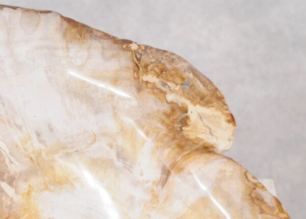 Bowl petrified wood 57002