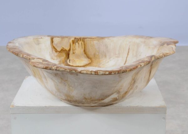 Bowl petrified wood 57002