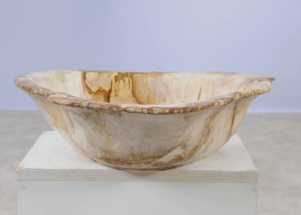 Bowl petrified wood 57002