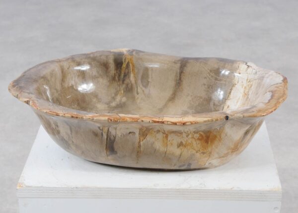 Bowl petrified wood 57003