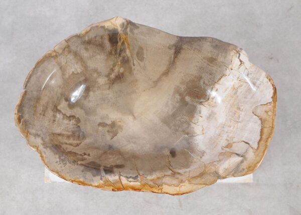 Bowl petrified wood 57003