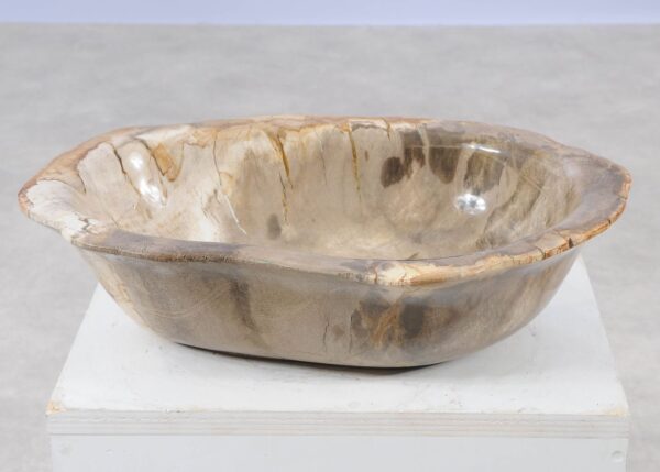 Bowl petrified wood 57003