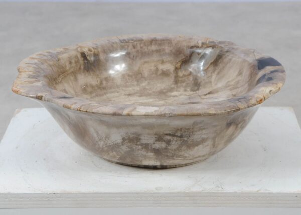 Bowl petrified wood 57004