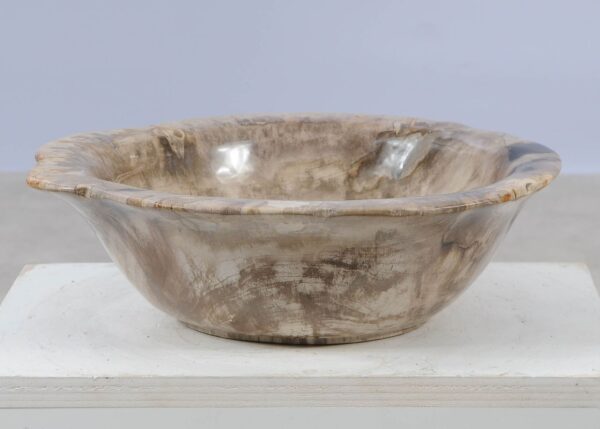 Bowl petrified wood 57004