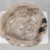 Bowl petrified wood 57004