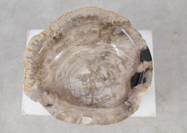 Bowl petrified wood 57004