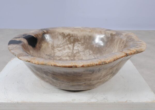 Bowl petrified wood 57004