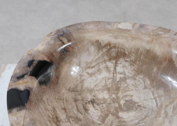 Bowl petrified wood 57004