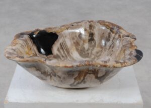 Bowl petrified wood 57005