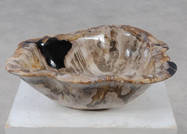 Bowl petrified wood 57005