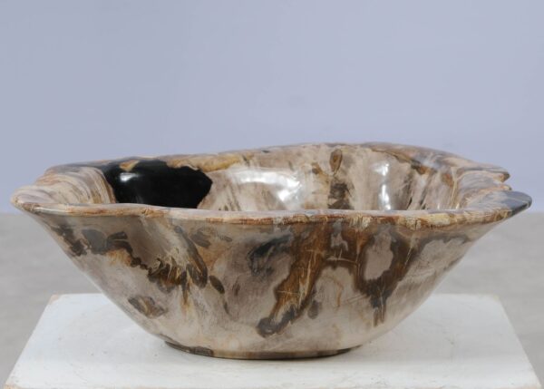 Bowl petrified wood 57005