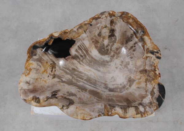 Bowl petrified wood 57005