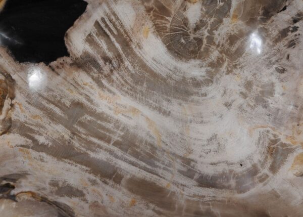 Bowl petrified wood 57005