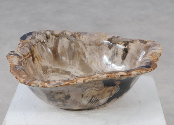 Bowl petrified wood 57005