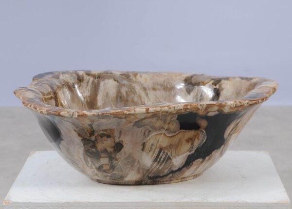 Bowl petrified wood 57005