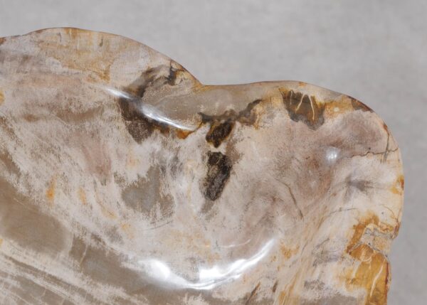 Bowl petrified wood 57005