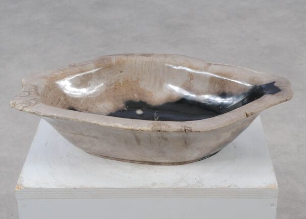 Bowl petrified wood 57011