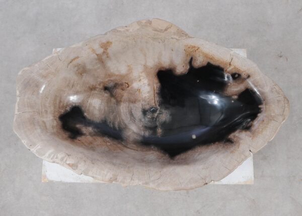 Bowl petrified wood 57013