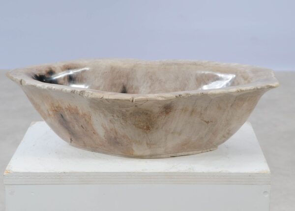 Bowl petrified wood 57013