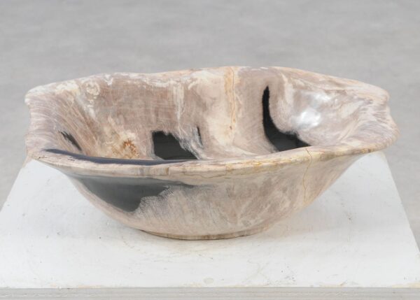 Bowl petrified wood 57014