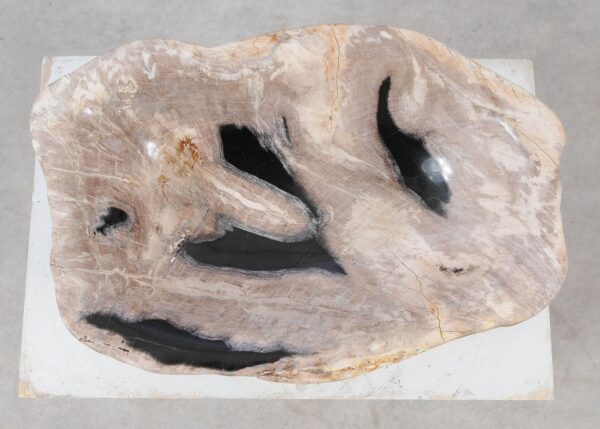 Bowl petrified wood 57014