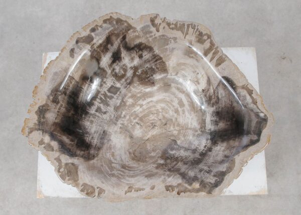 Bowl petrified wood 57015