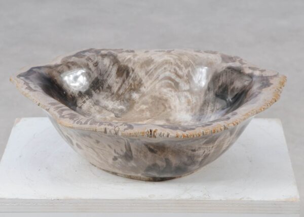 Bowl petrified wood 57015