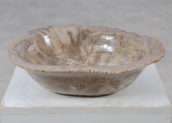 Bowl petrified wood 57016