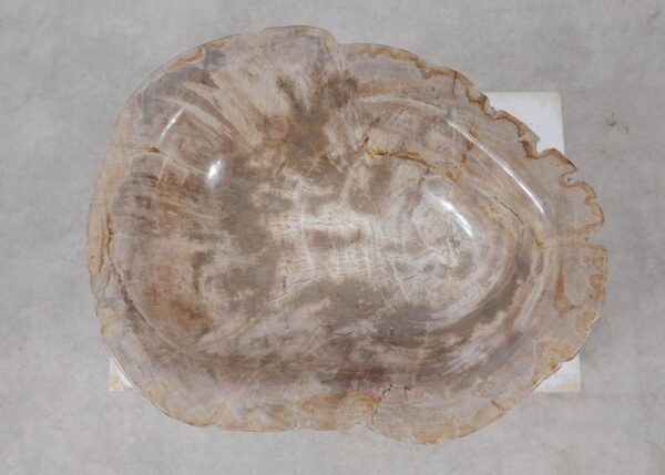 Bowl petrified wood 57016