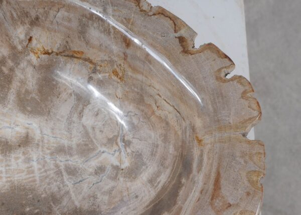 Bowl petrified wood 57016