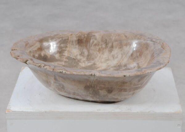 Bowl petrified wood 57016