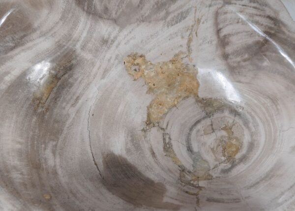 Bowl petrified wood 57017