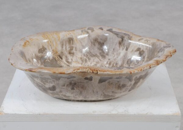 Bowl petrified wood 57018